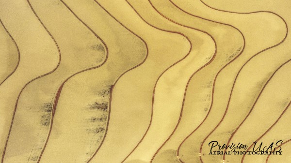 Lonoke, AR | Rice Levees  by Provision UAS
